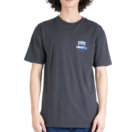 Dickies Anywhere Classic Fit S/S Tee Charcoal