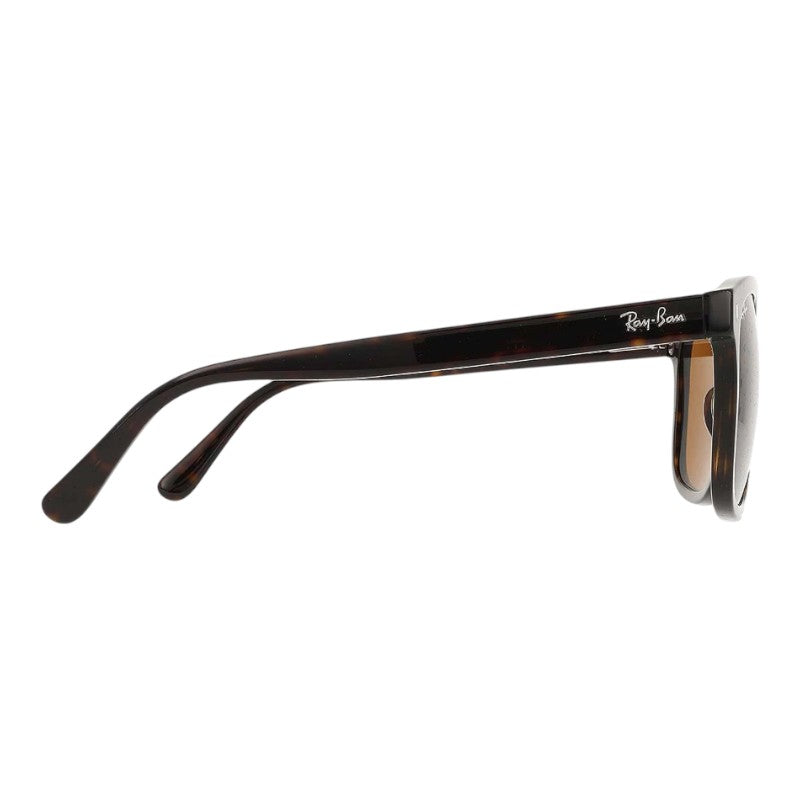 Ray-Ban RB2213 - Havana/Brown