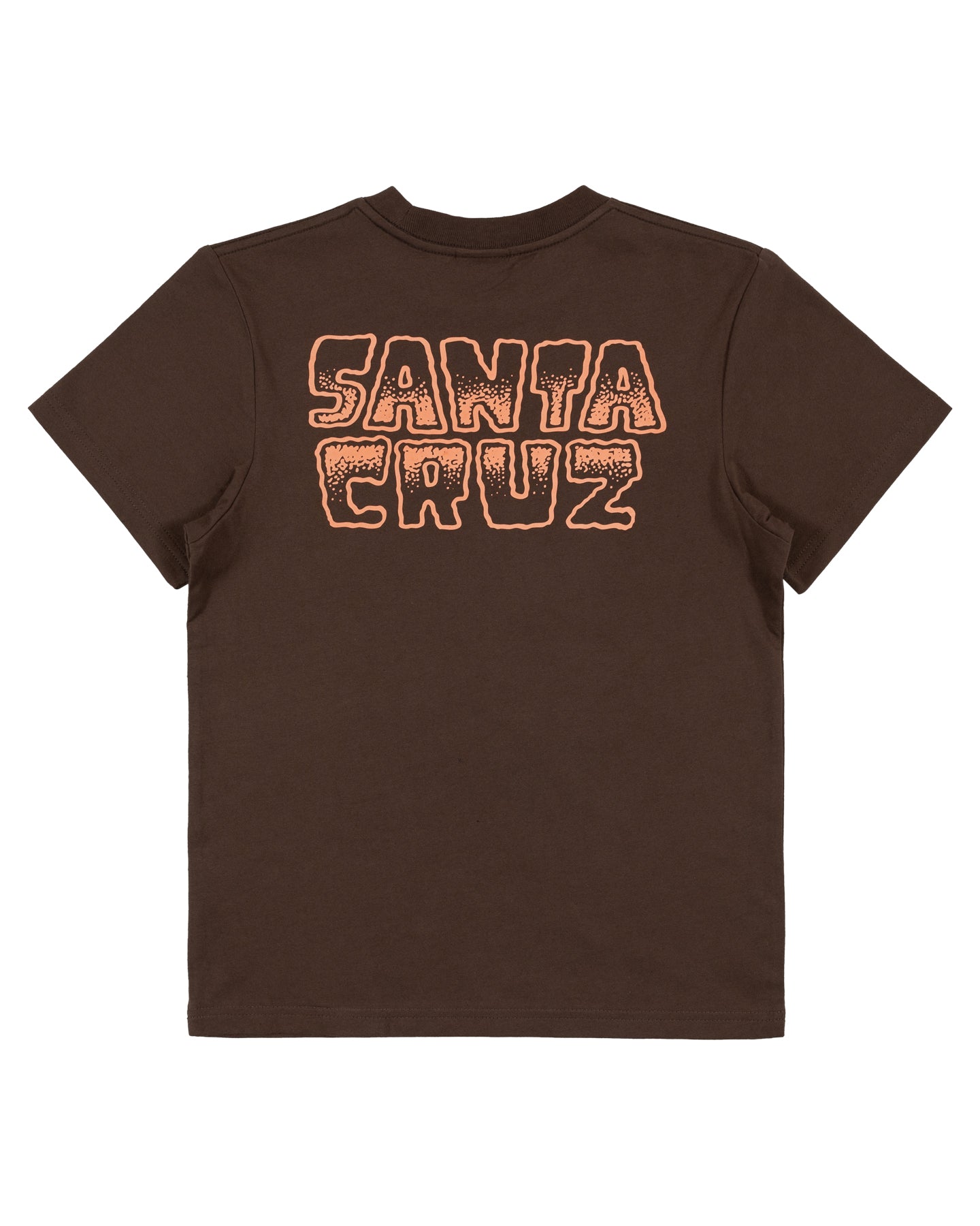 Santa Cruz Youth Multi Cruz Stack Centre Tee - Brown