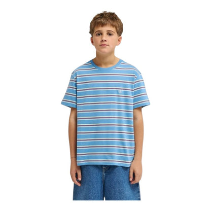 Element Youth Icon Embroidery Tee - Washed Stripes Rivera