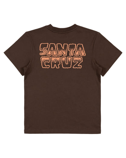Santa Cruz Youth Multi Cruz Stack Centre Tee - Brown