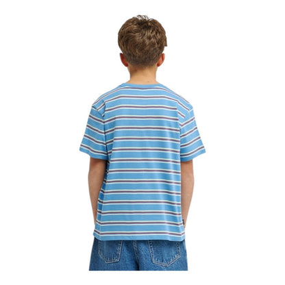 Element Youth Icon Embroidery Tee - Washed Stripes Rivera